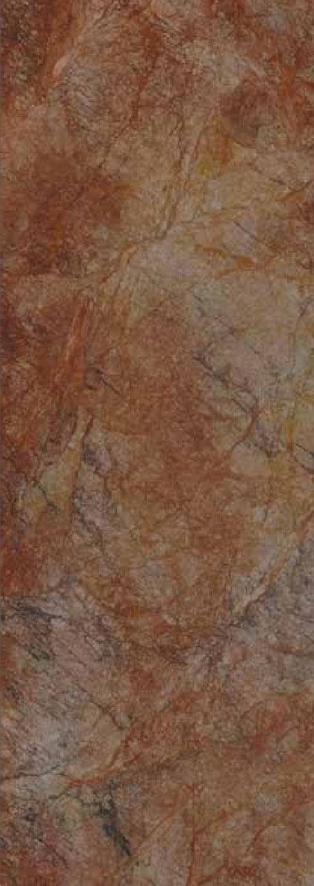 Photo of Cartagena's cathedral at the background and some colonial style houses